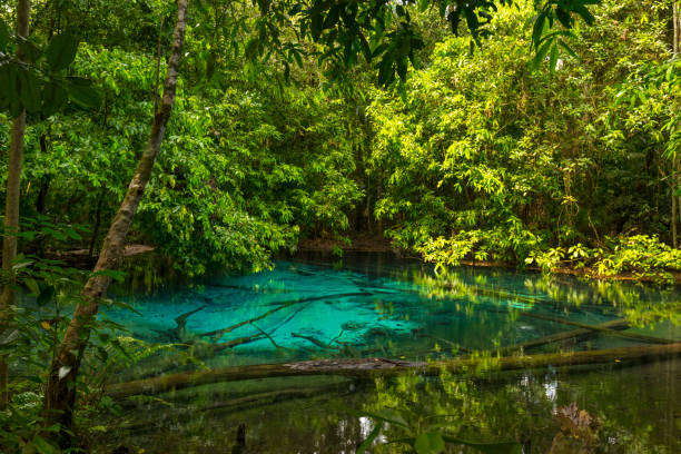istock Emerald Pool (Sra Morakot) in Krabi province, Thailand. 1152447179