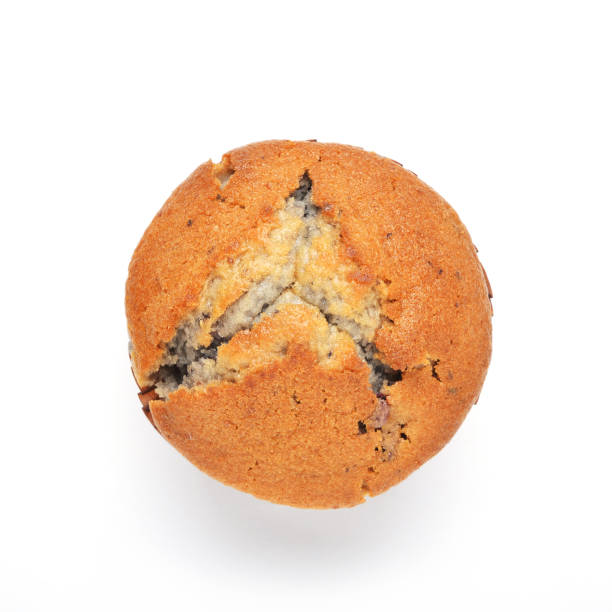 magdalenas de arándanos - muffin blueberry muffin blueberry isolated fotografías e imágenes de stock