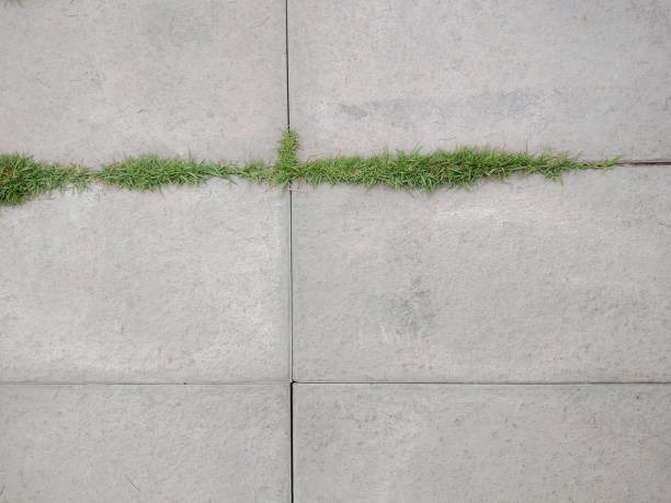 top view of stone sheet with tiny grass in the garden.