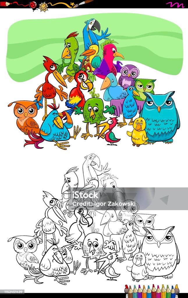 birds animal characters group color book Cartoon Illustration of Birds Animal Characters Coloring Book Activity Activity stock vector