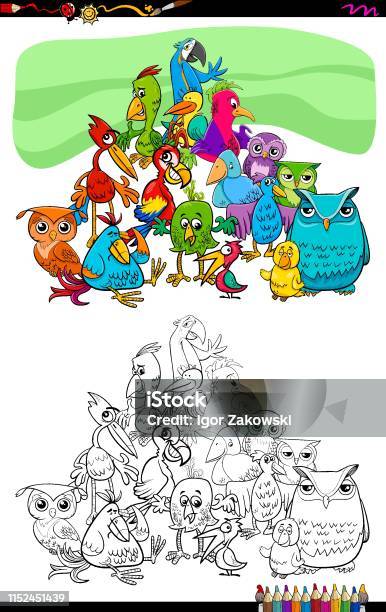 Birds Animal Characters Group Color Book Stock Illustration - Download Image Now - Activity, Animal, Arranging