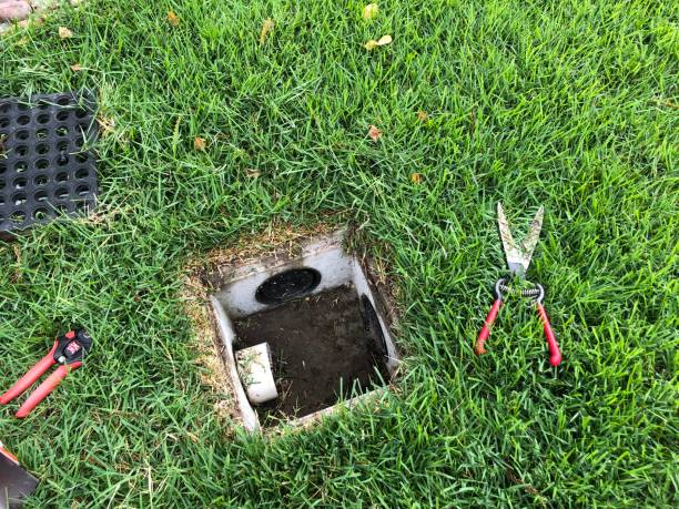 istock Cement drain basket for french drain with grass clippers 1152451583