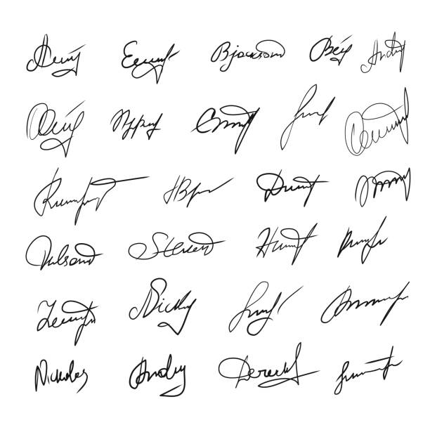 illustrations, cliparts, dessins animés et icônes de ensemble de signatures manuscrites. signatures fictives pour contrat d’affaires. collection vector eps 10 - signer