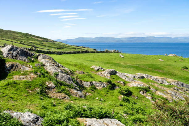 istock Landscape view in West Kerry, Beara peninsula in Ireland 1152456779