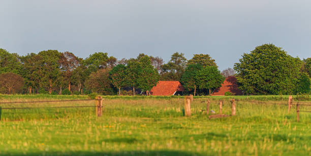 istock Farmhouse with trees in evening sunlight in spring. 1152458589