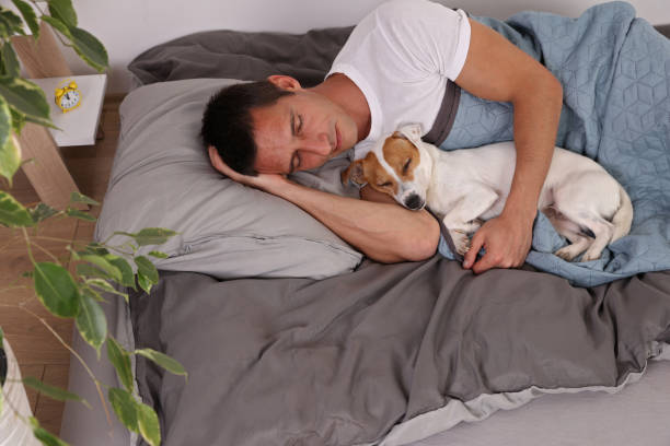 istock Man and dog sleeping together. Pet Allergies concept 1152468905