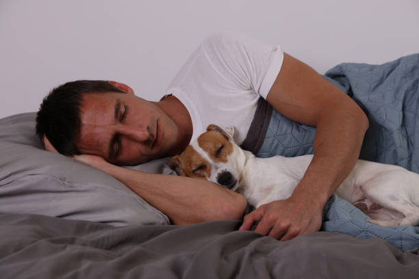 istock Man and dog sleeping together. Pet Allergies concept 1152469012