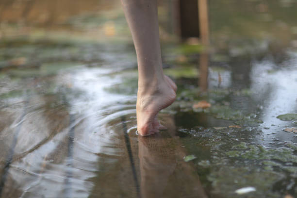 istock Feet ballerina on tiptoe. Close up 1152469237