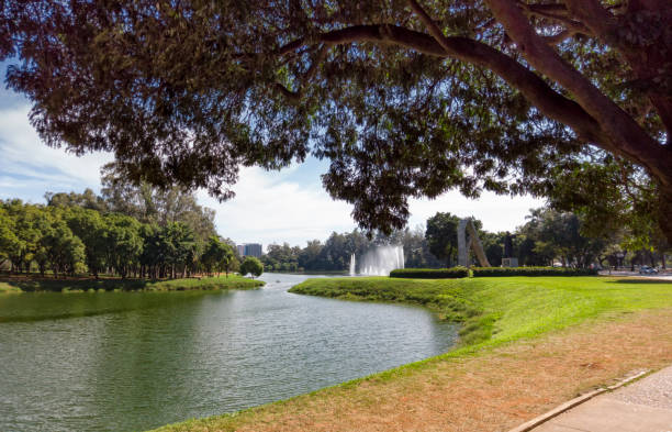 Ibirapuera Park Photo taken at Ibirapuera Park, Sao Paulo City. A beautiful lake with a fountain. Buildings and trees on background. ibirapuera park stock pictures, royalty-free photos & images