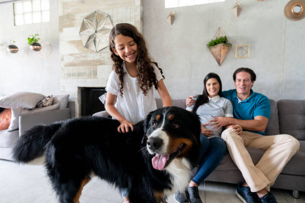 自分の犬と一緒に家で幸せな家族 - abdomen adult affectionate baby ストックフォトと画像