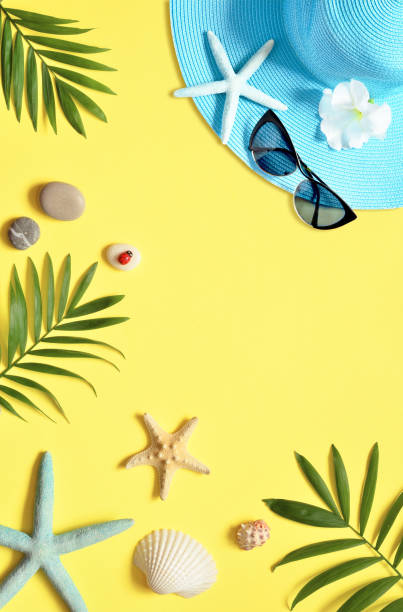 istock Tropical Background. Palm Trees Branches with starfish and seashell on yellow background. Travel. Copy space. 1152471117