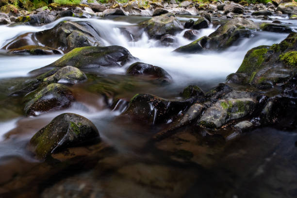 istock A fast flowing shallow creek runs over algae covered pebbles and rocks in Olympic National Park, Washington State, USA, long exposure to add blurred motion to the water 1152471198