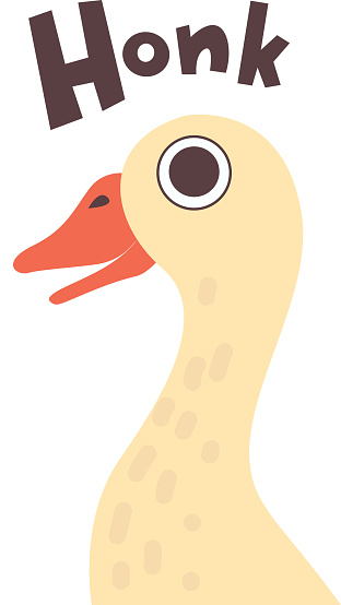 Cute Cartoon Goose Farm Bird Making Honk Sound Vector Illustration Stock  Illustration - Download Image Now - iStock
