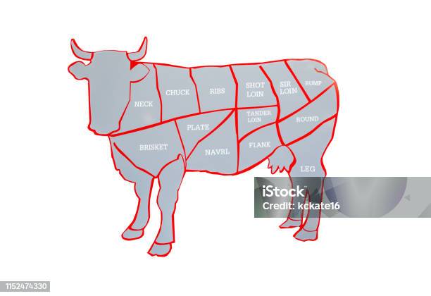 Bagian Rump Sapi Sapi Dan Potongan Bagan Daging Sapi Atau Daging Sapi Diagram Berbagai ...