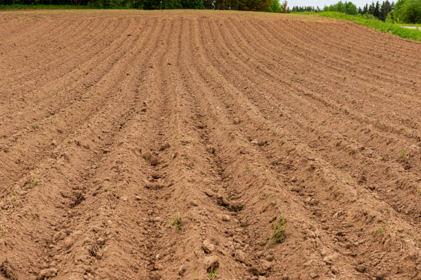 istock cultivated fields in countryside with dark and wet soil for agriculture. 1152474601