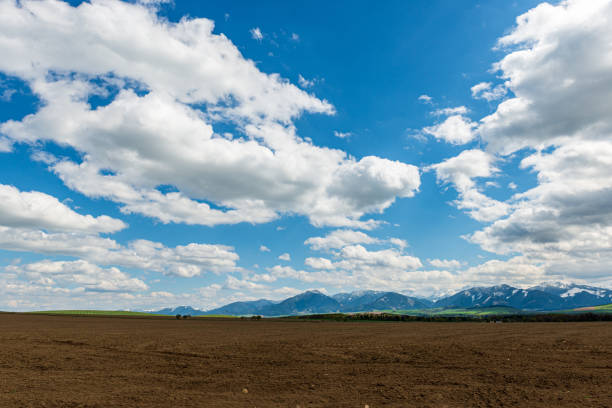 cultivated fields in countryside with dark and wet soil for agriculture. tractor made plotting furrows on the ground