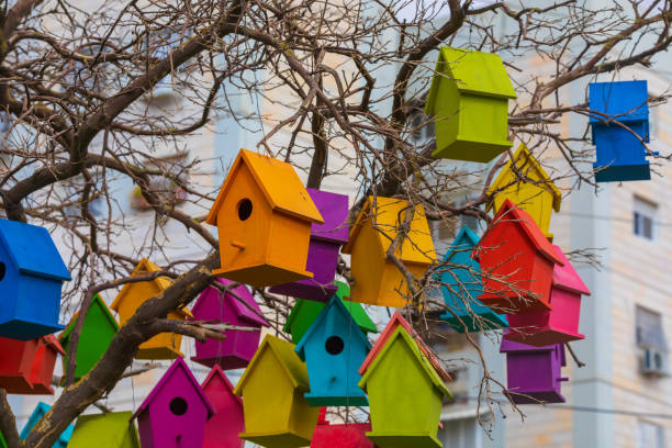istock Big group of bright colored birdhouses on a mandarin tree 1152475789