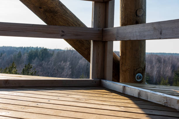 istock wooden fire watchtower construction details 1152477869