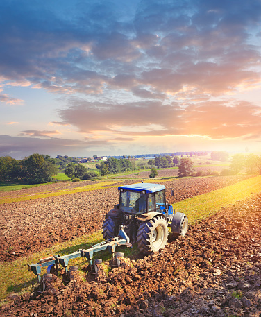 Tractor ploughing on the field in sunset light
