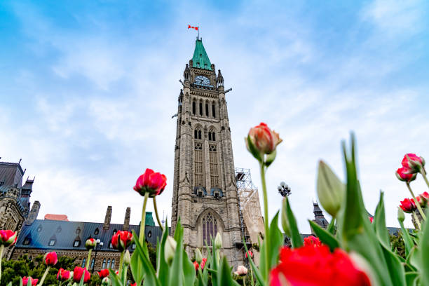 Canadian Tulip Festival at Parliament Hill Ottawa, Canada stock photo