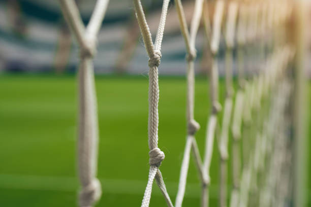 white football net, green grass background - soccer stadium soccer field sport imagens e fotografias de stock