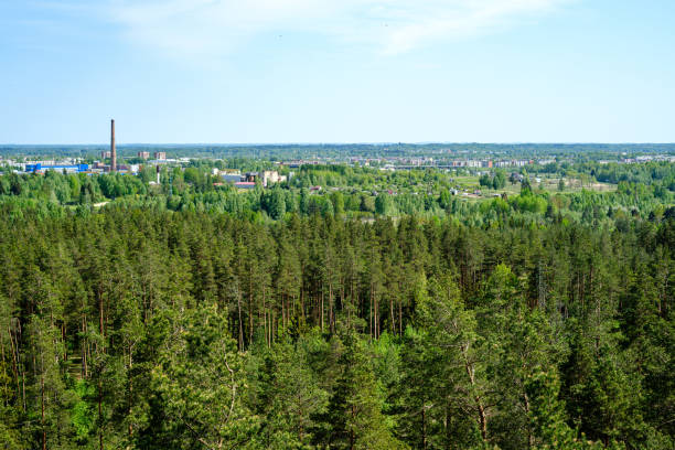 istock endless forests in summer dayat countryside from above 1152480015