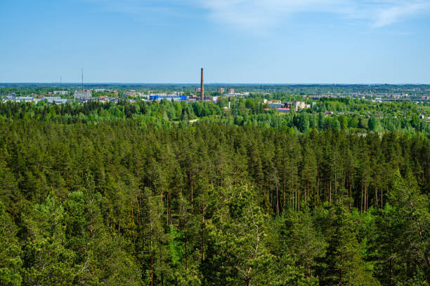 istock endless forests in summer dayat countryside from above 1152480053