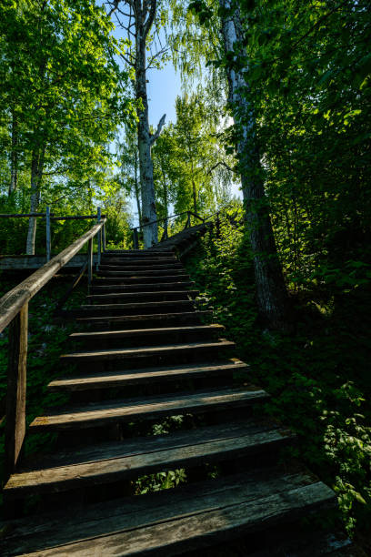 istock wooden fire watchtower construction details 1152480073