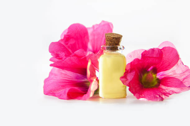 istock mallow essential oil in  beautiful bottle on White background 1152485721