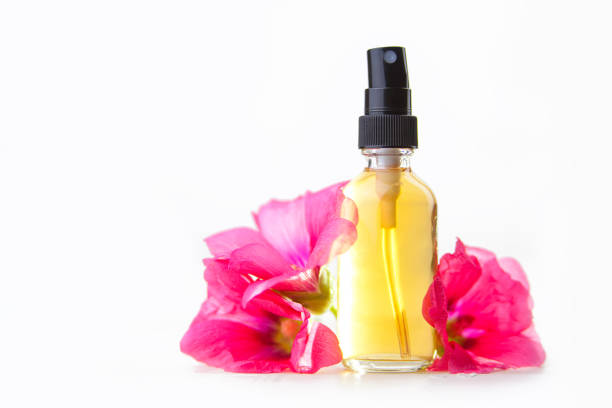 istock mallow essential oil in  beautiful bottle on White background 1152485763