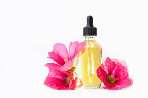 istock mallow essential oil in  beautiful bottle on White background 1152485806