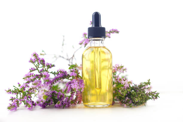 istock Calluna essential oil in  beautiful bottle on White background 1152485892