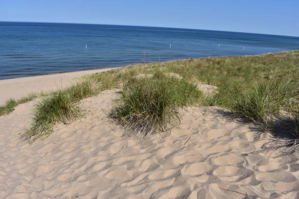 istock Lake Michigan and Dunes 1152488594
