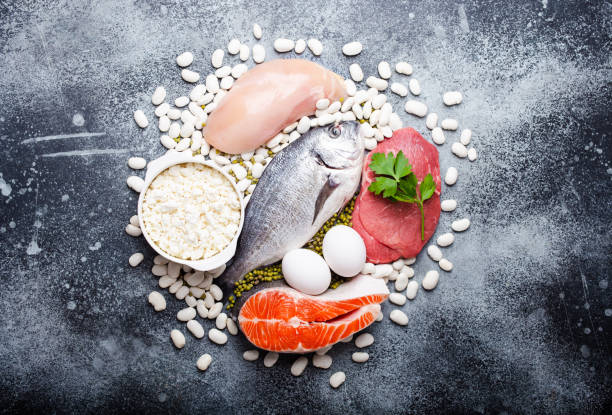 istock Food products as protein sources 1152493544