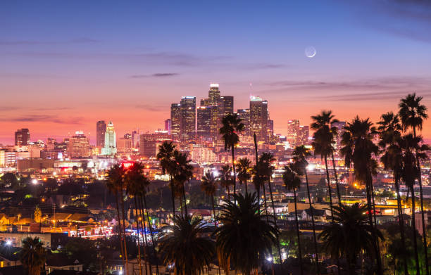 schöner sonnenuntergang durch die palmen, los angeles, kalifornien. - hollywood los angeles stock-fotos und bilder