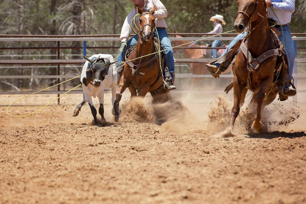 Horses and Cowboys under the Big Blue Sky