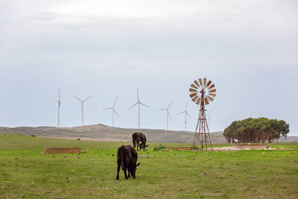 istock Wind Turbine Windmill And Cows 1152499060