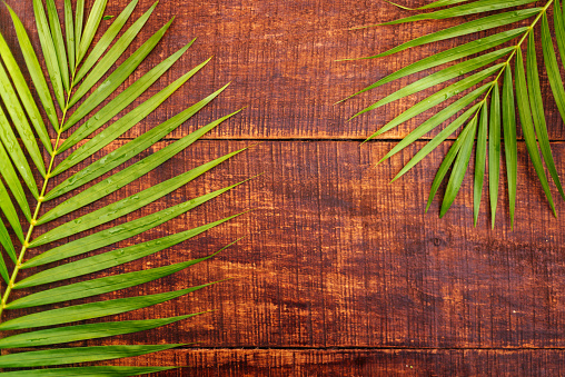 Palm leaf on a old wooden boards. Wooden background with copy space. Top view.