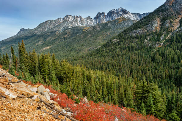 north cascades national park al washington pass usa - north cascades national park washington state northern cascade range mountain pass foto e immagini stock