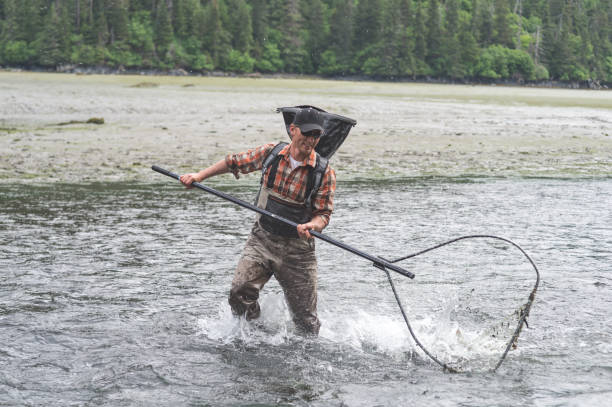 Alaskan Net Fishing!