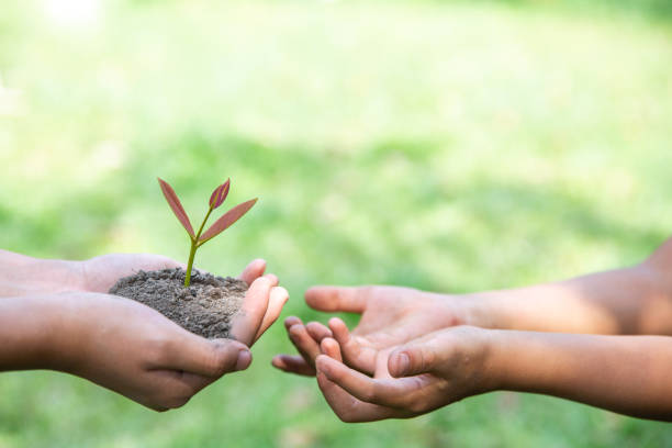 istock plant a tree. Forest conservation concept, reduce global warming. World Environment Day 1152527145