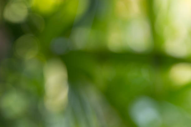 istock Green bokeh nature abstract background 1152531411