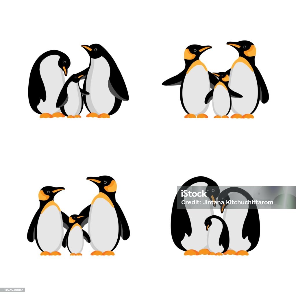 Vector illustration Penguin family. Emperor Penguin stock vector