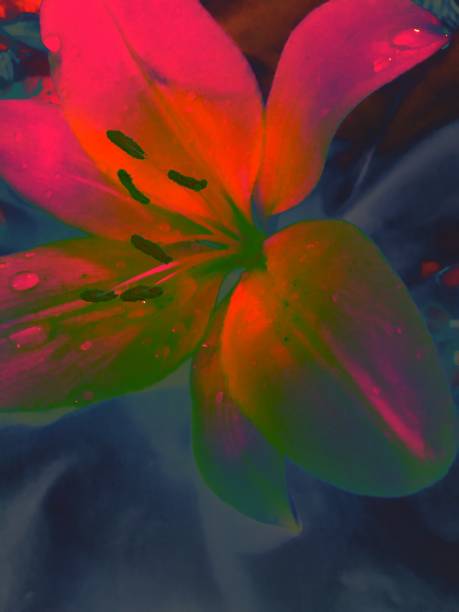 istock The Magic of Color 1152538883