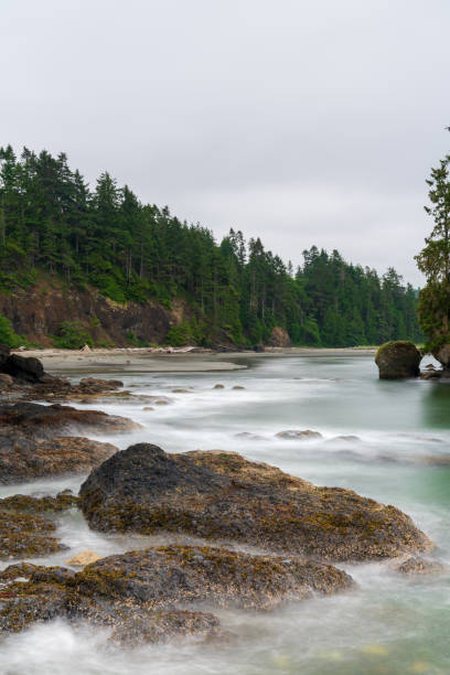 istock Crescent Bay Pacific Ocean Washington State 1152540345