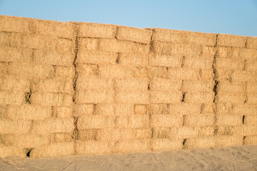 Massive stack of dried hay bails