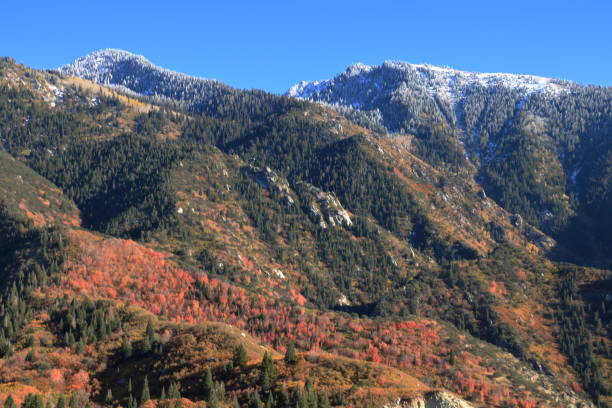 istock Fall colors on the slopes of Wasatch Mountains 1152541440