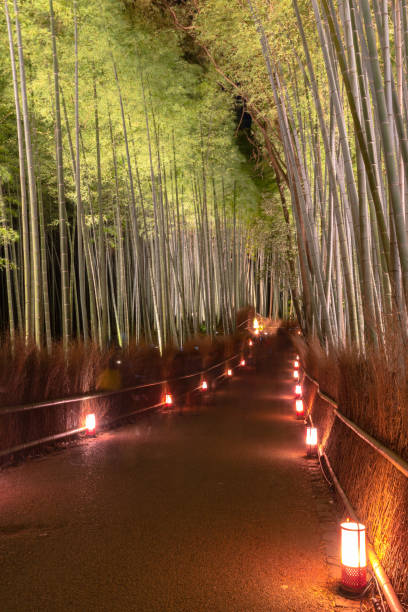 istock Arashiyama Bamboo Grove at night 1152544383