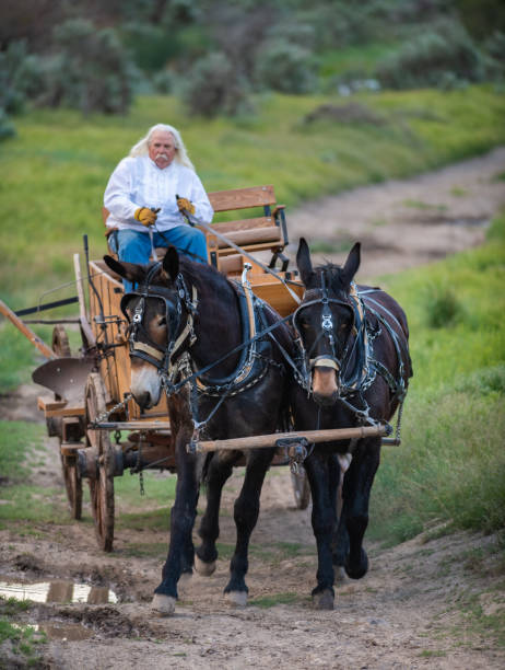 istock Horse carriage Utah 1152546275