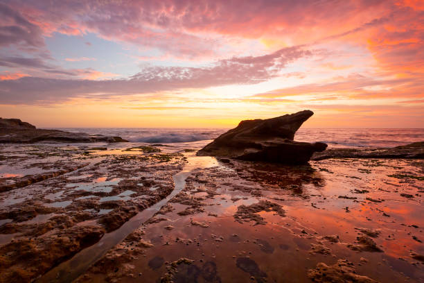 istock Shark rock and beach pretty sunrise with reflections in tidal flows 1152547820